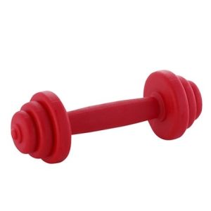Žaislas šuniui - Kvepiantis mažas svarmuo, 12,5 cm - papildoma nuotrauka 2